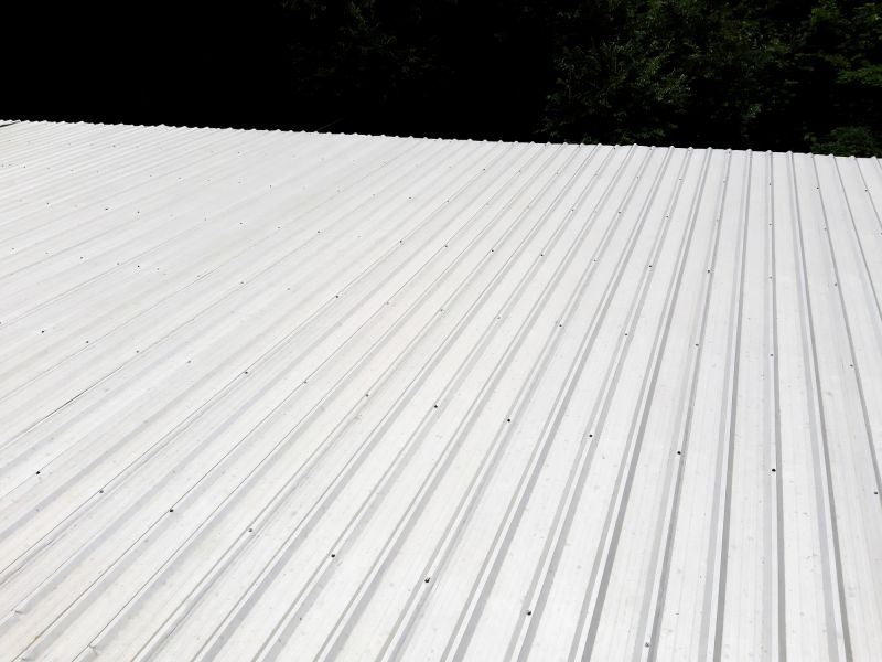 Metal Roofing