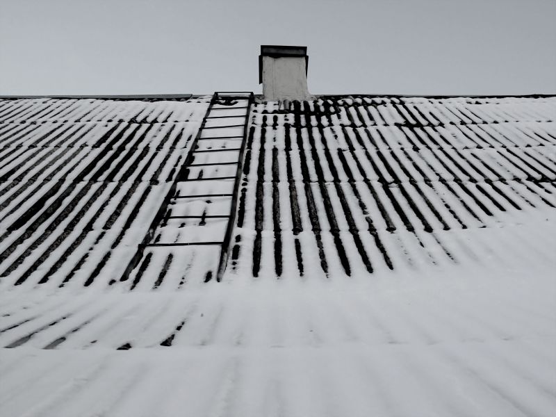 Metal Roofs with Snow Cover